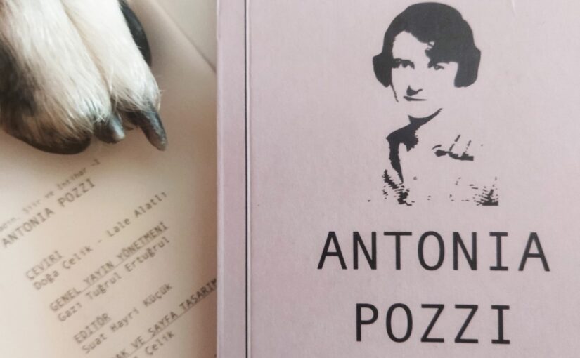 Kitap çevirisi: Antonia Pozzi – Şiirler